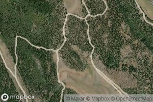 McCoy Spring