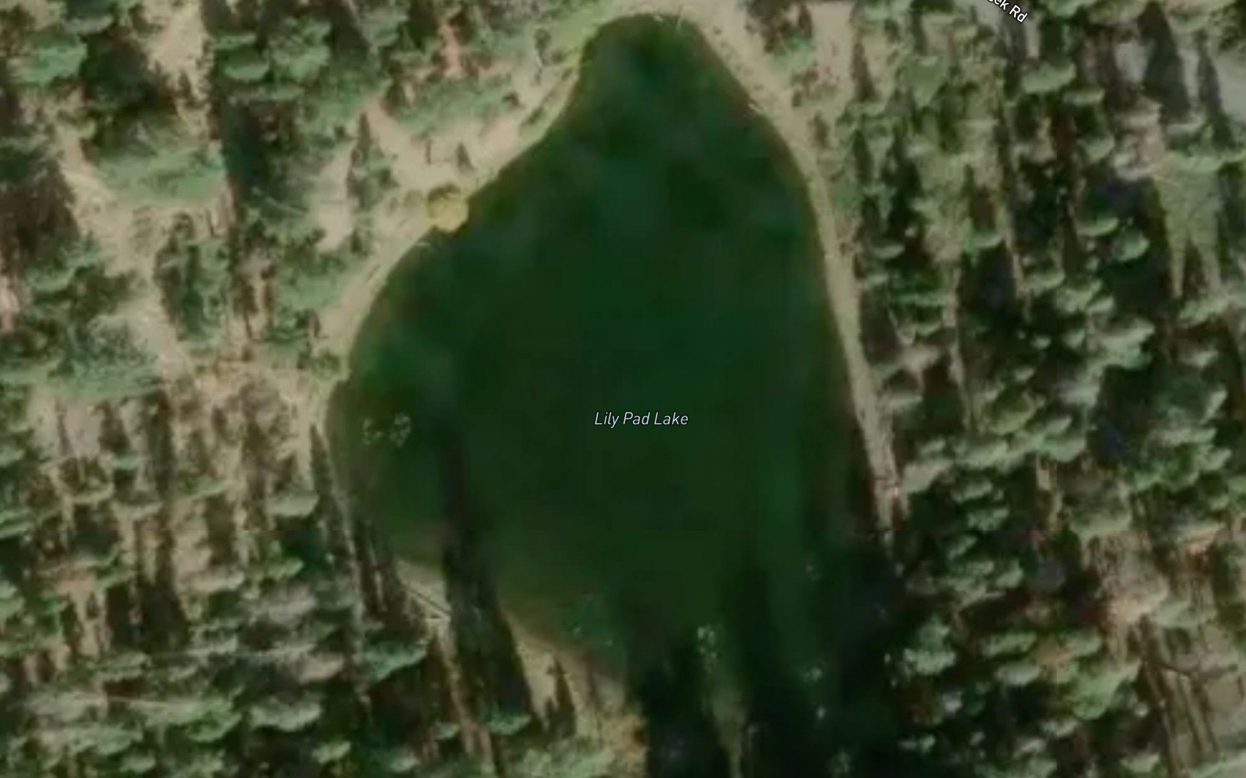 Lily Pad Lake