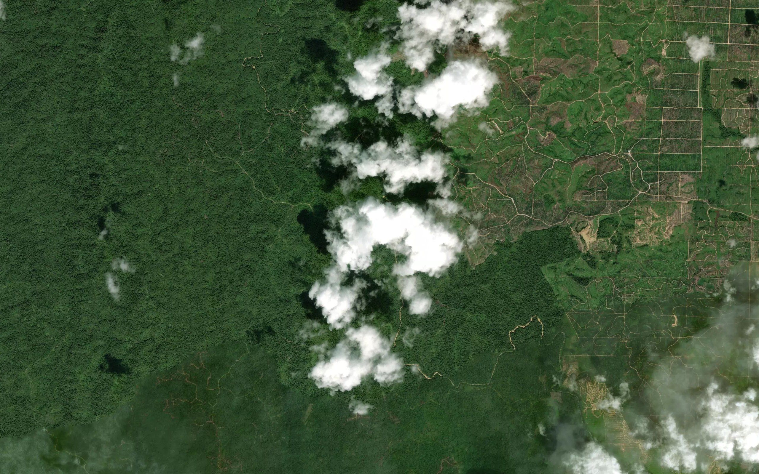 Sungai Benumuda Kanan