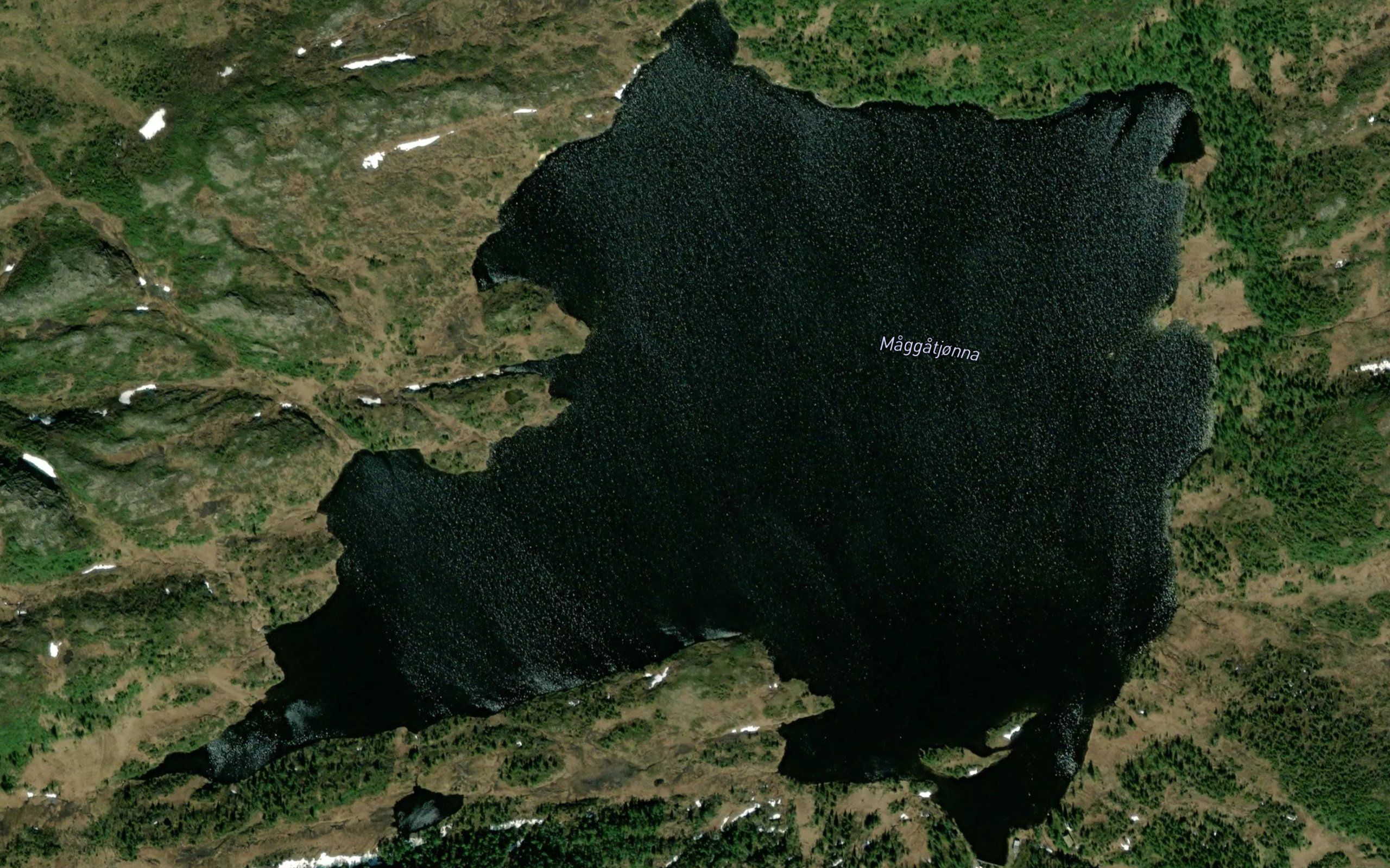 Maggatjonna