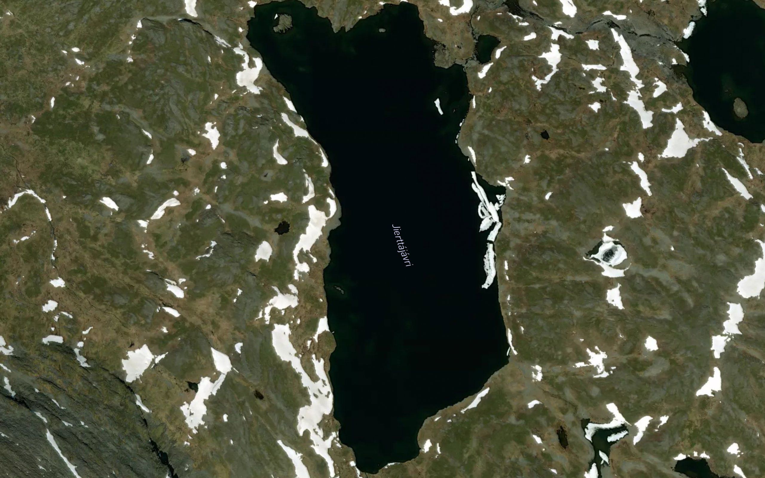 Jierttajavri