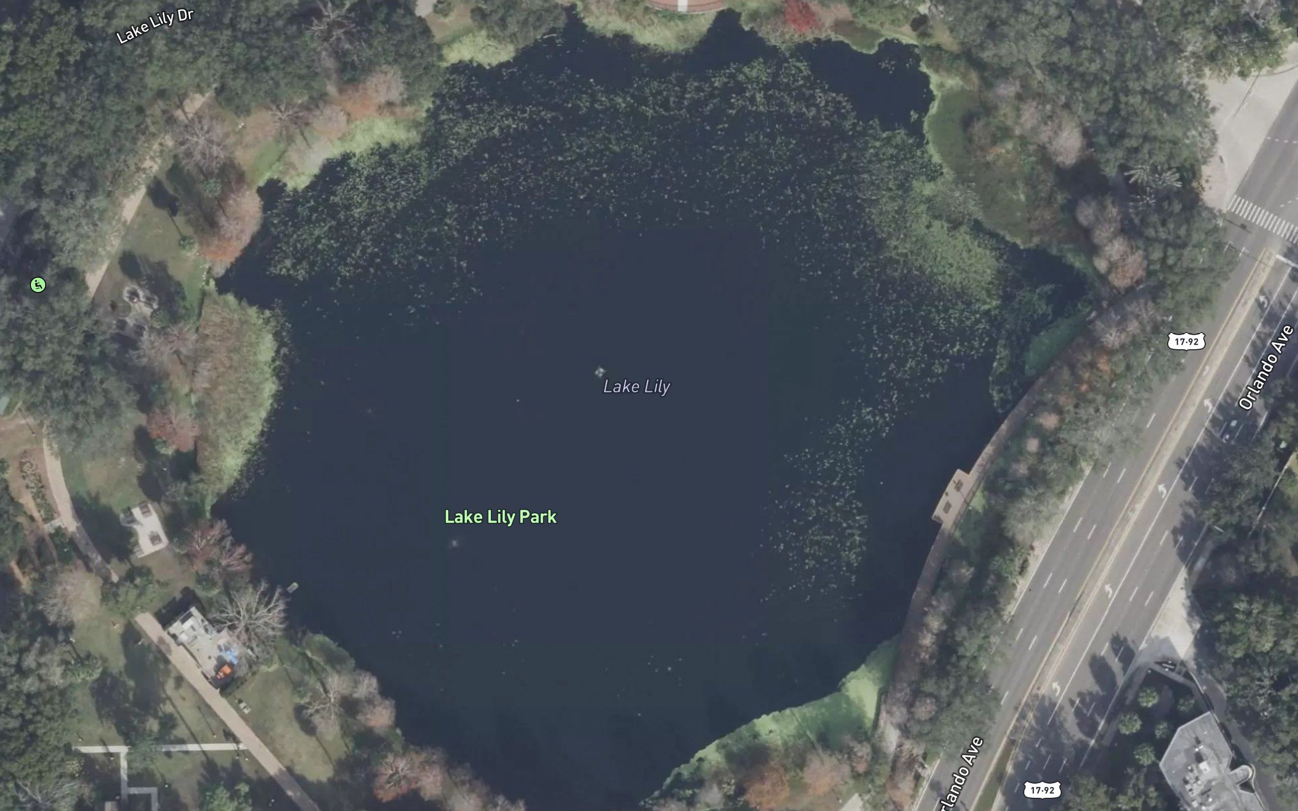 Lake Lily