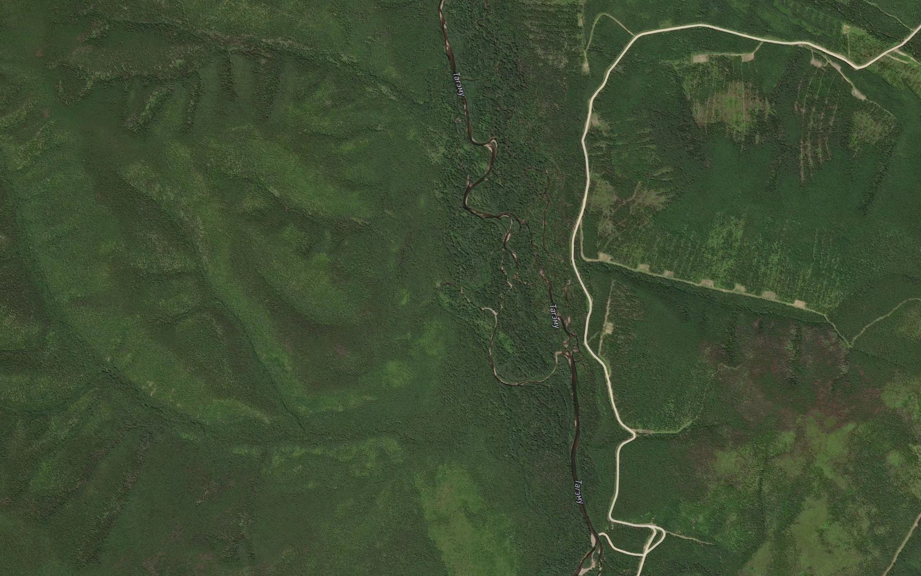 Satellite map of the Tunga-Siktsy