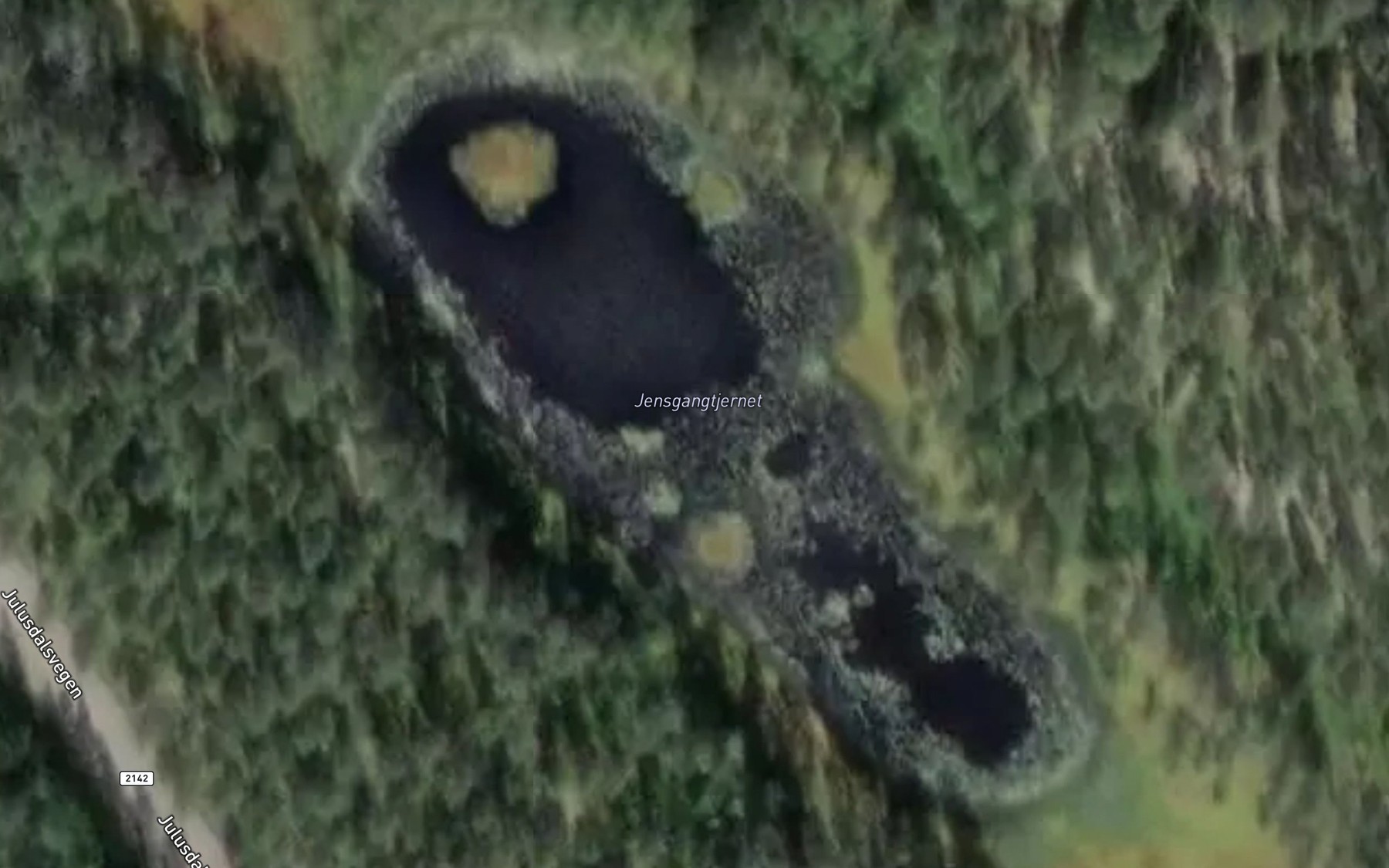 Satellite map of the Jensgangtjernet