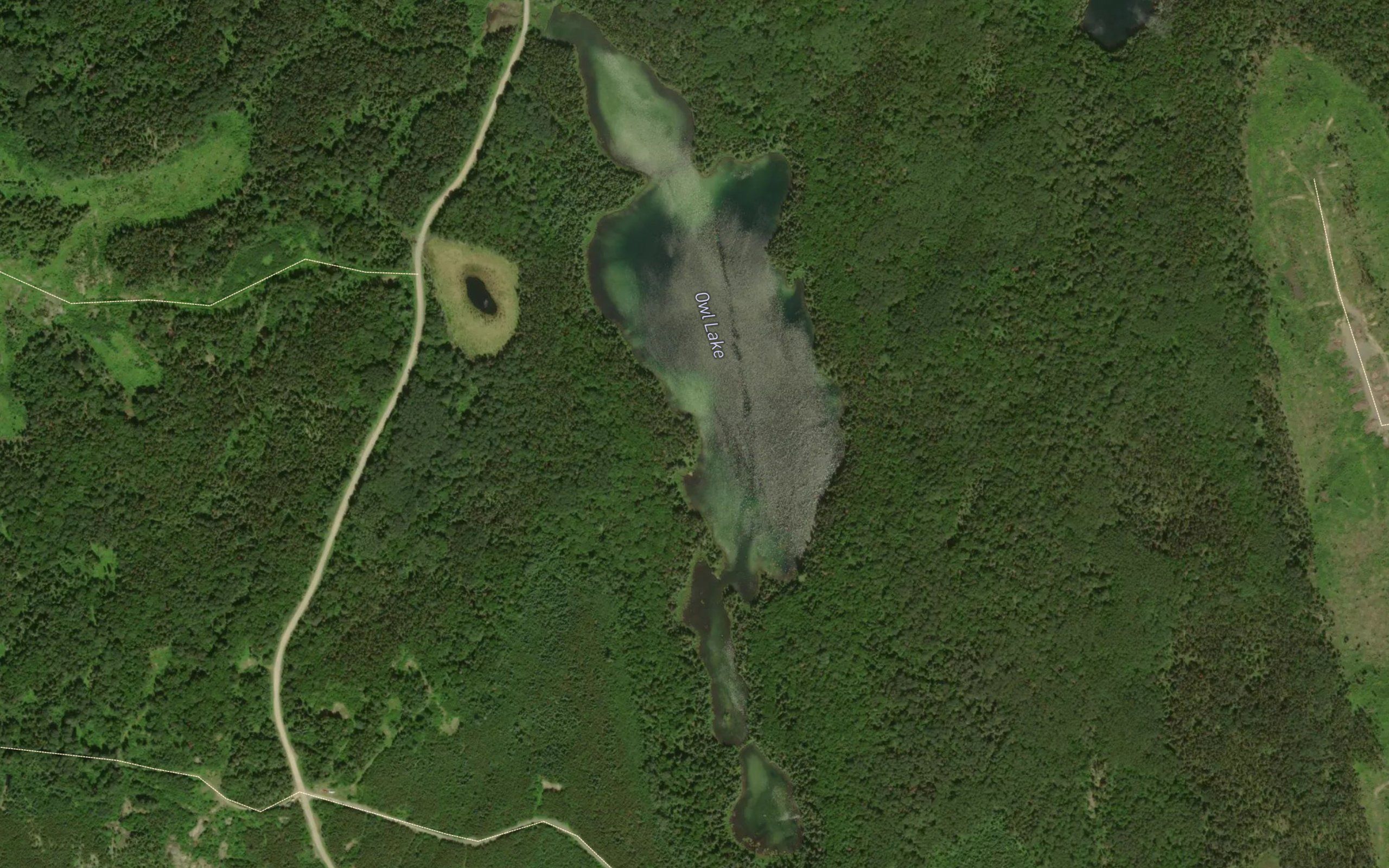 Owl Lake