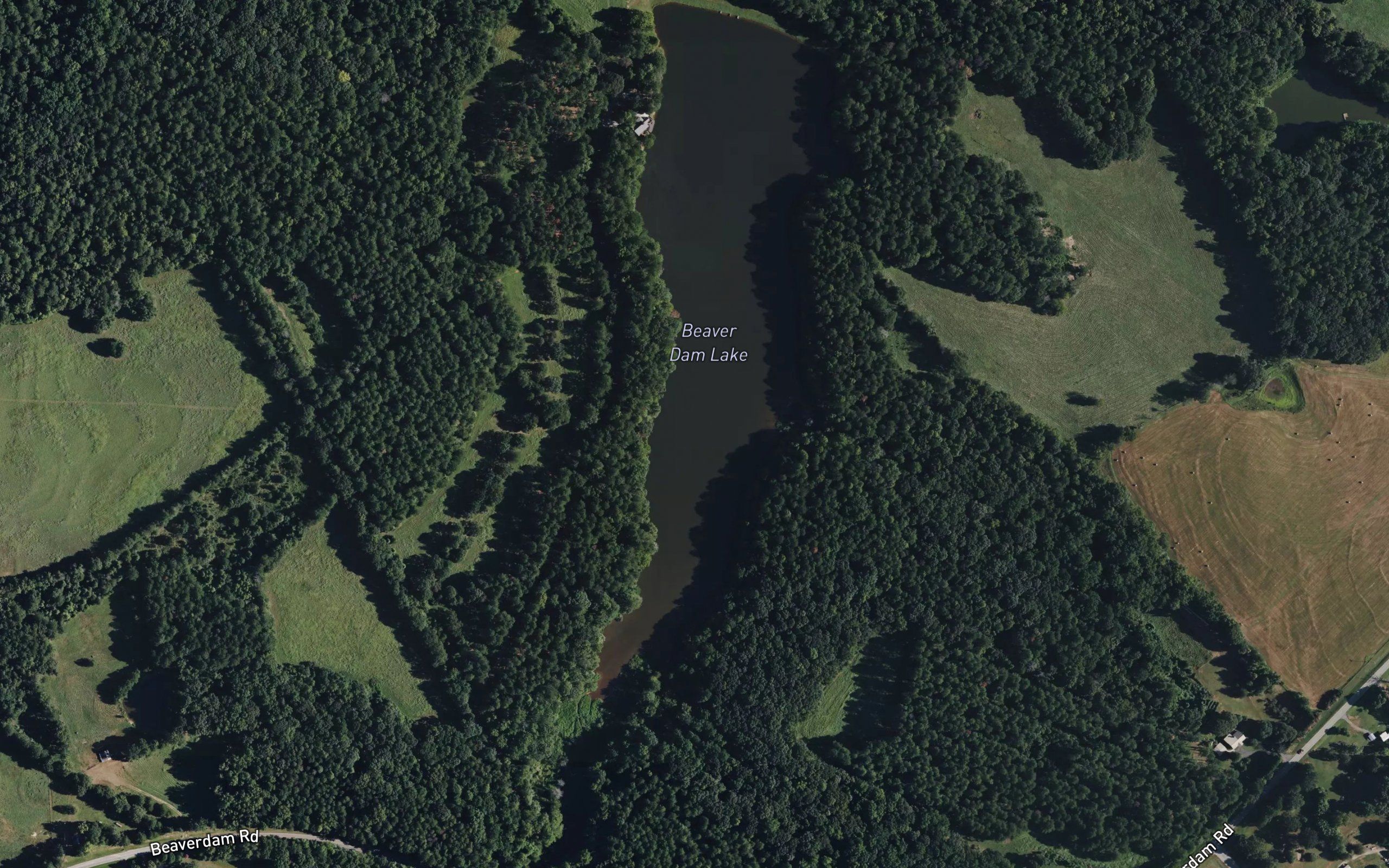 Beaver Dam Lake