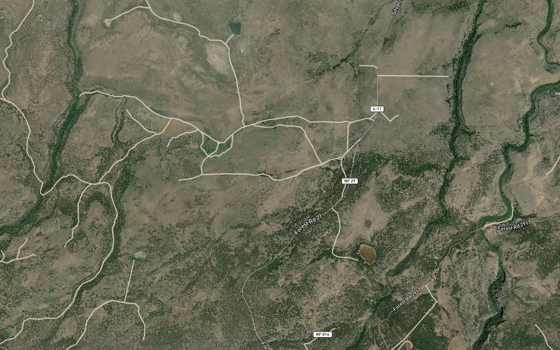 Satellite map of the Chase Spring