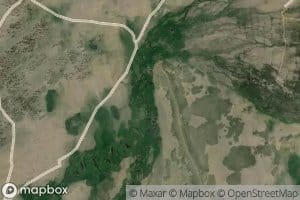 North Fork Cooper Creek