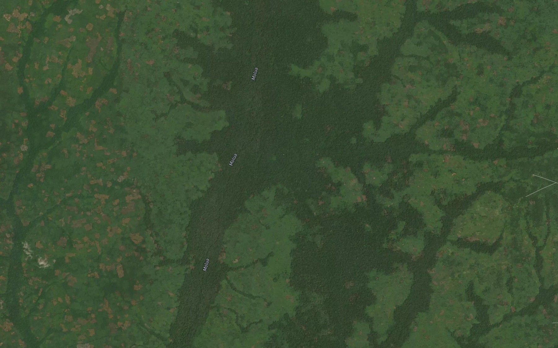 Satellite map of the Tembe
