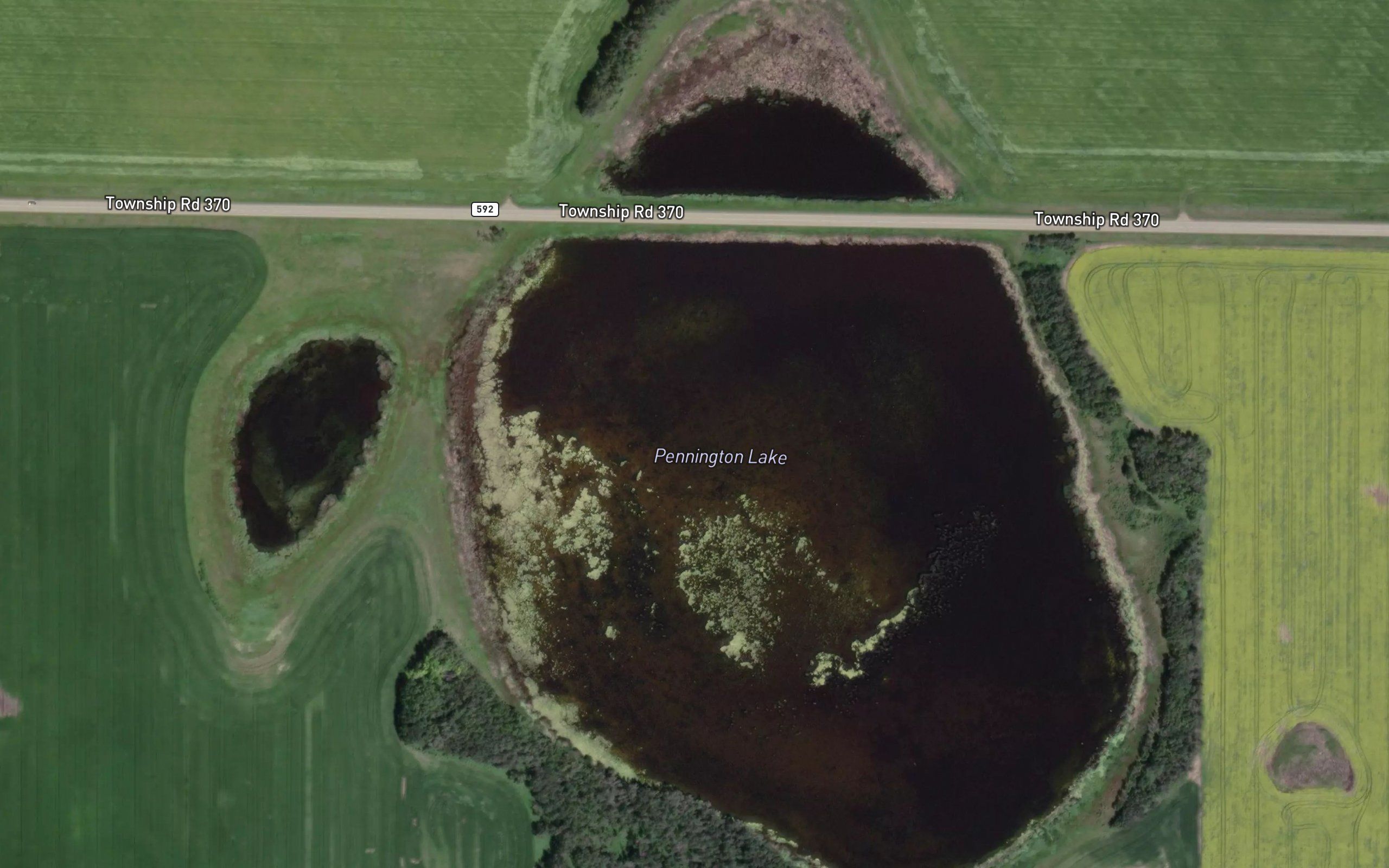 Pennington Lake
