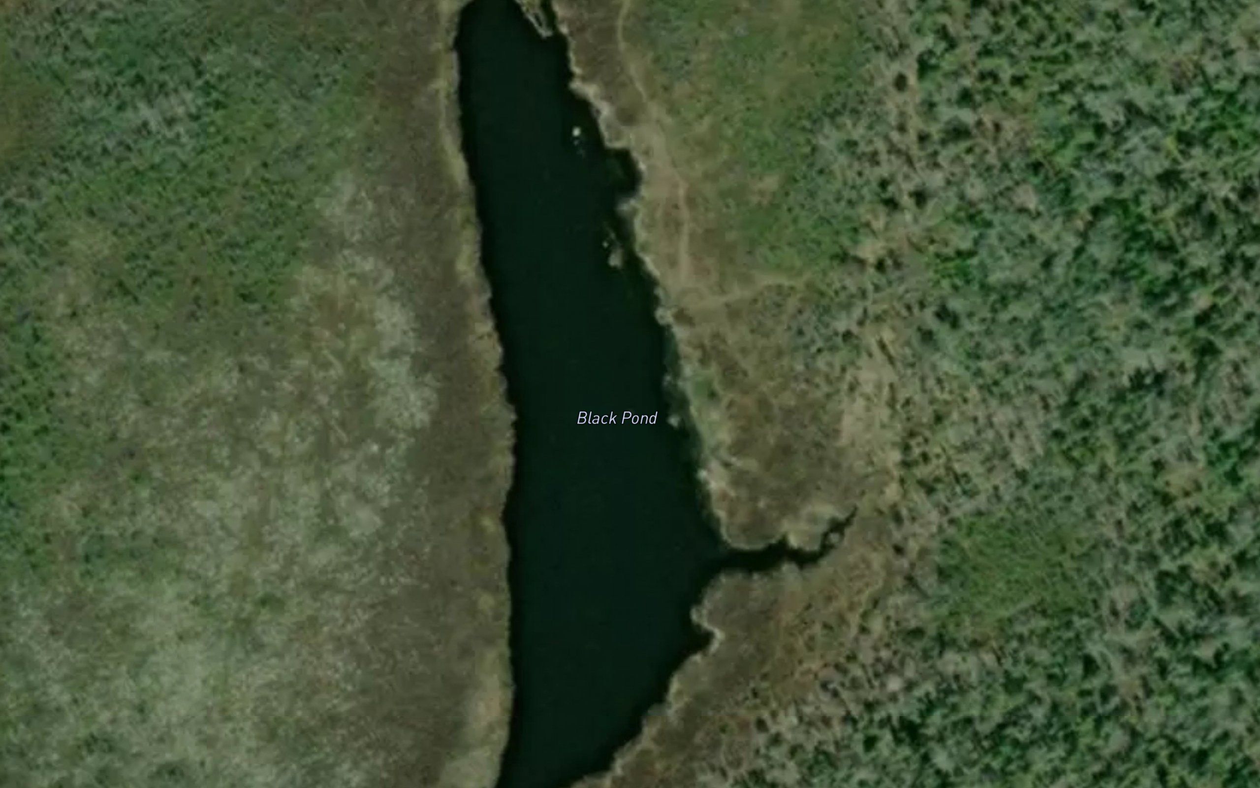 Black Pond