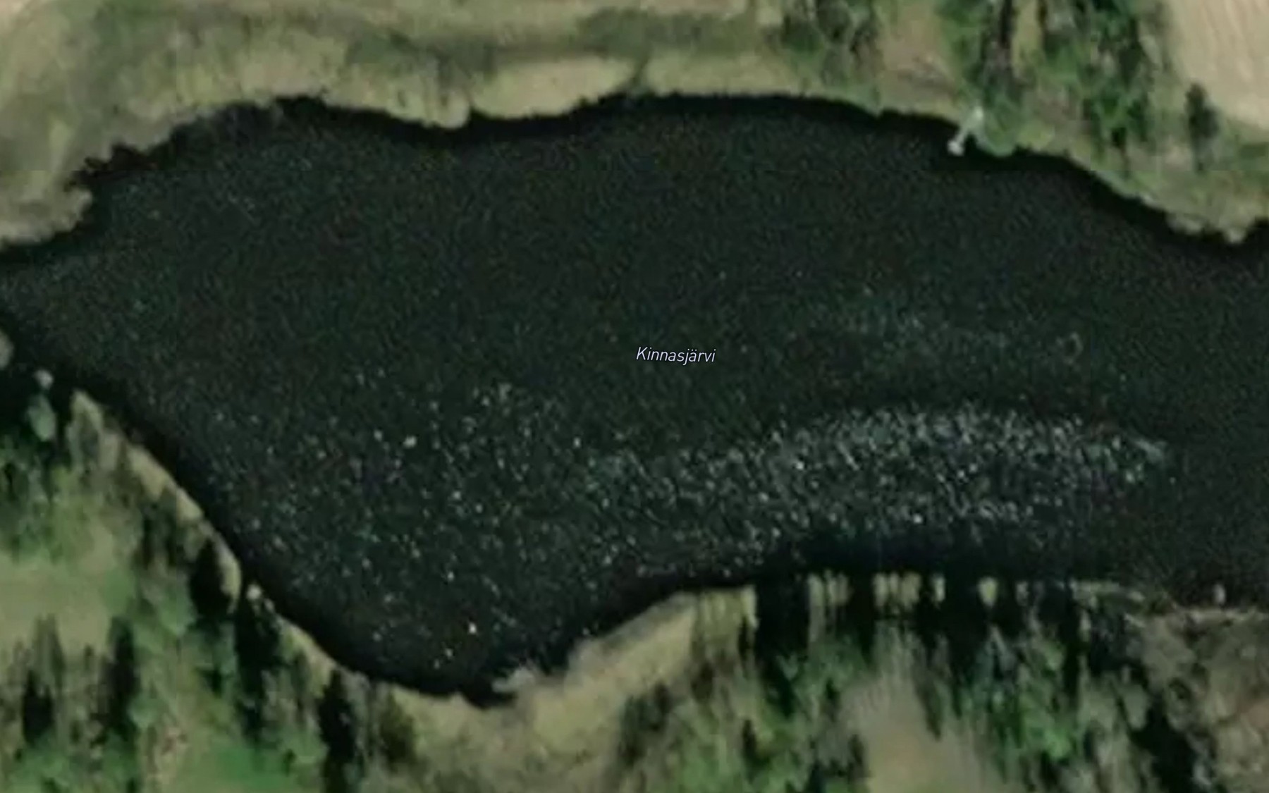Satellite map of the Kinnasjarvi