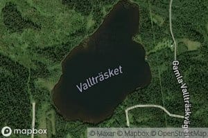 Valltraesket