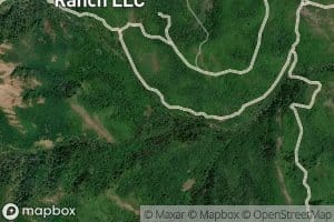 Right Hand Fork Dalton Creek