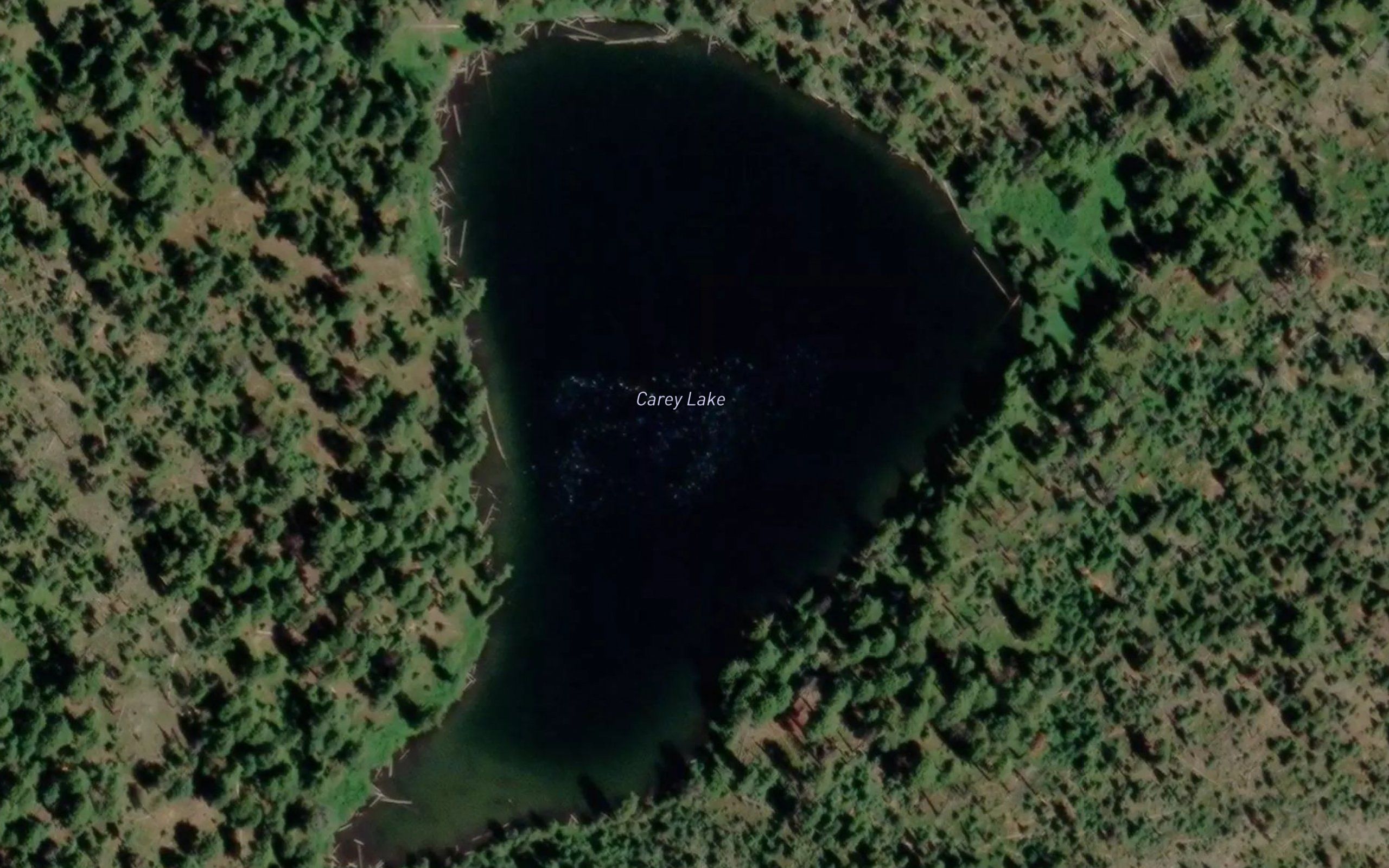 Carey Lake