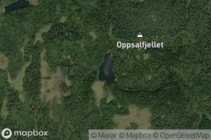 Oppsalvann
