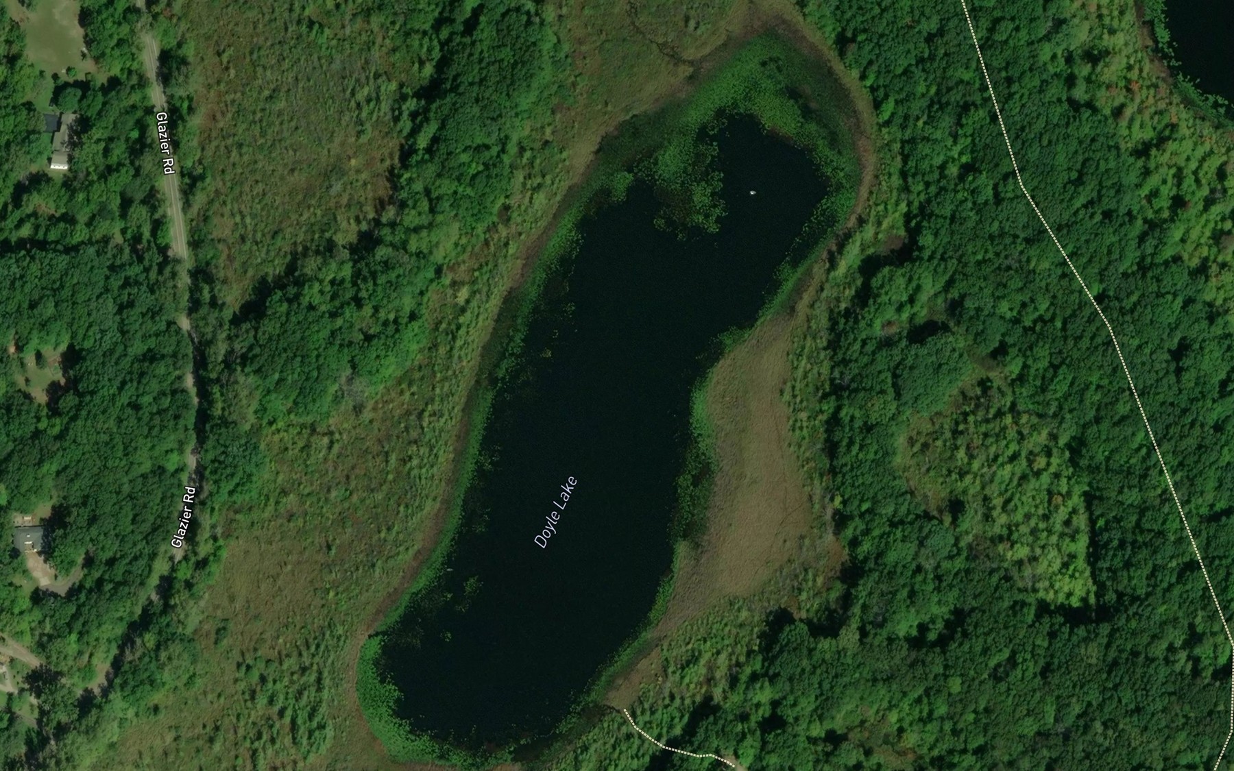 Satellite map of the Doyle Lake
