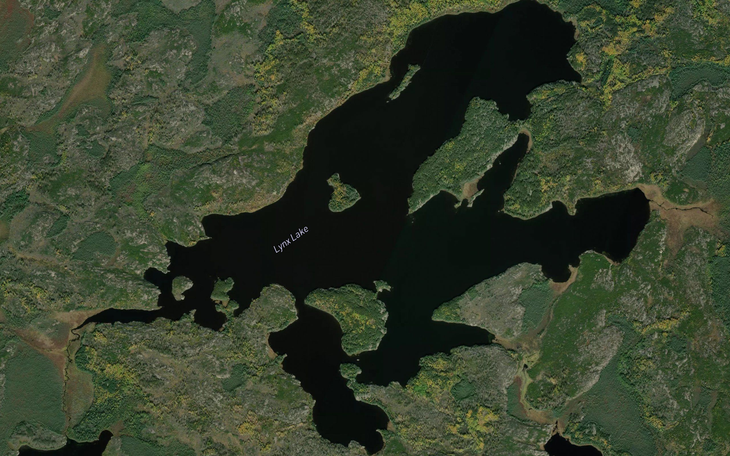 Lynx Lake