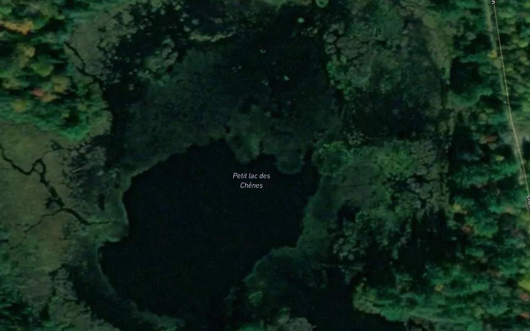 Satellite map of the Petit lac des Chenes