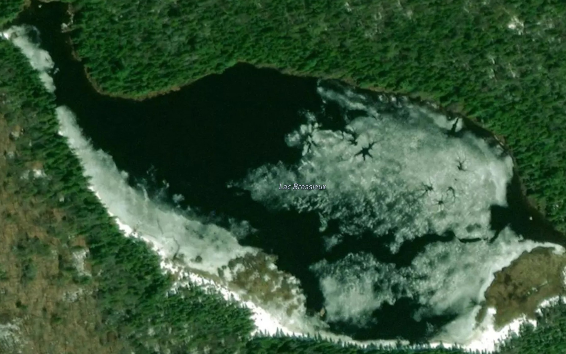 Satellite map of the Lac Bressieux