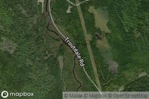 Wild Brook