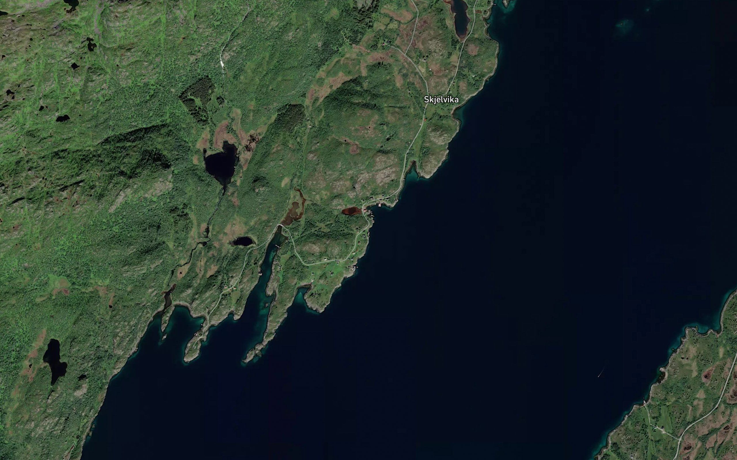 Grindvika