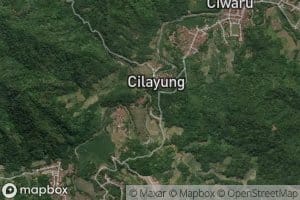Ci Kalong