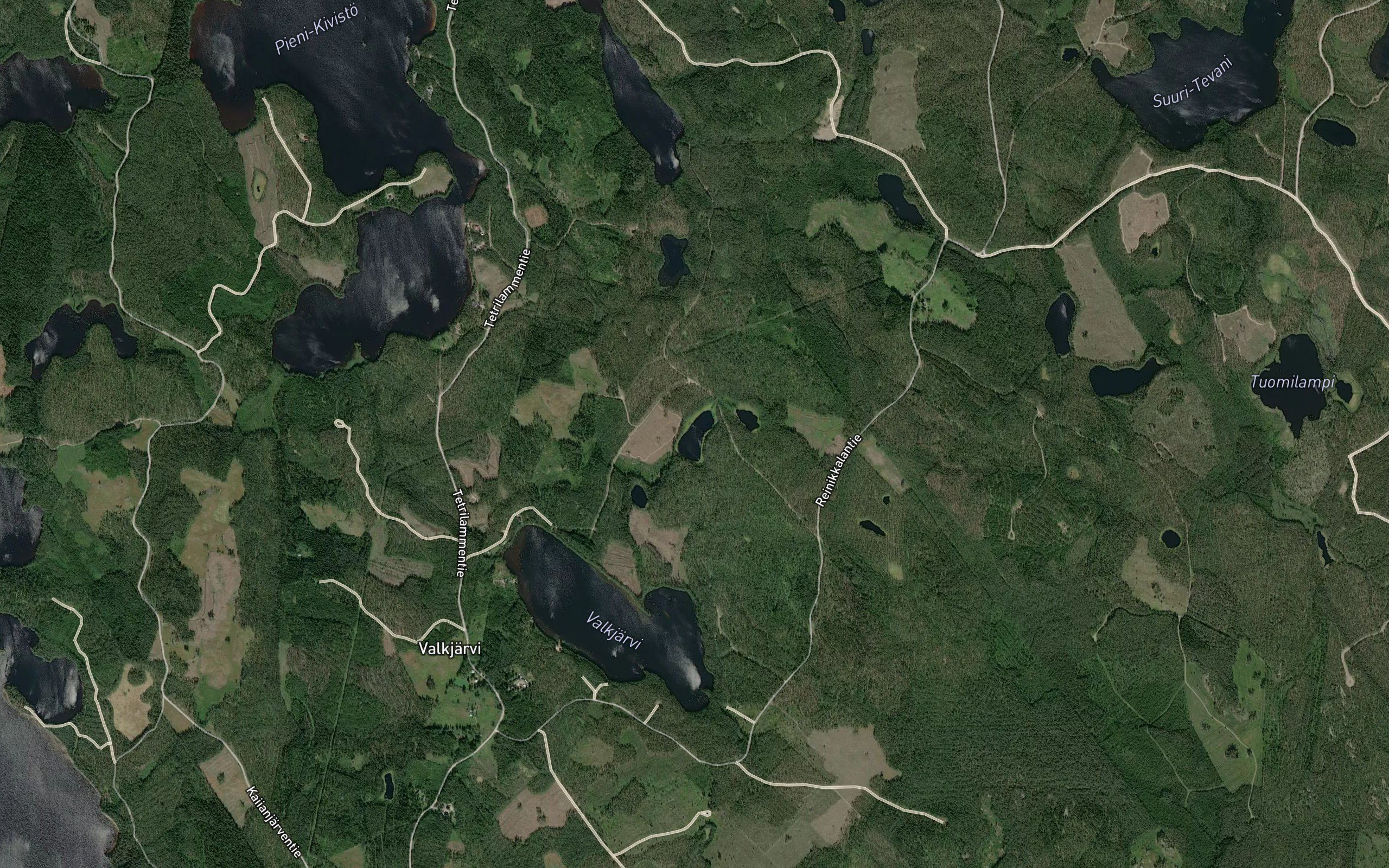 Heinalampi