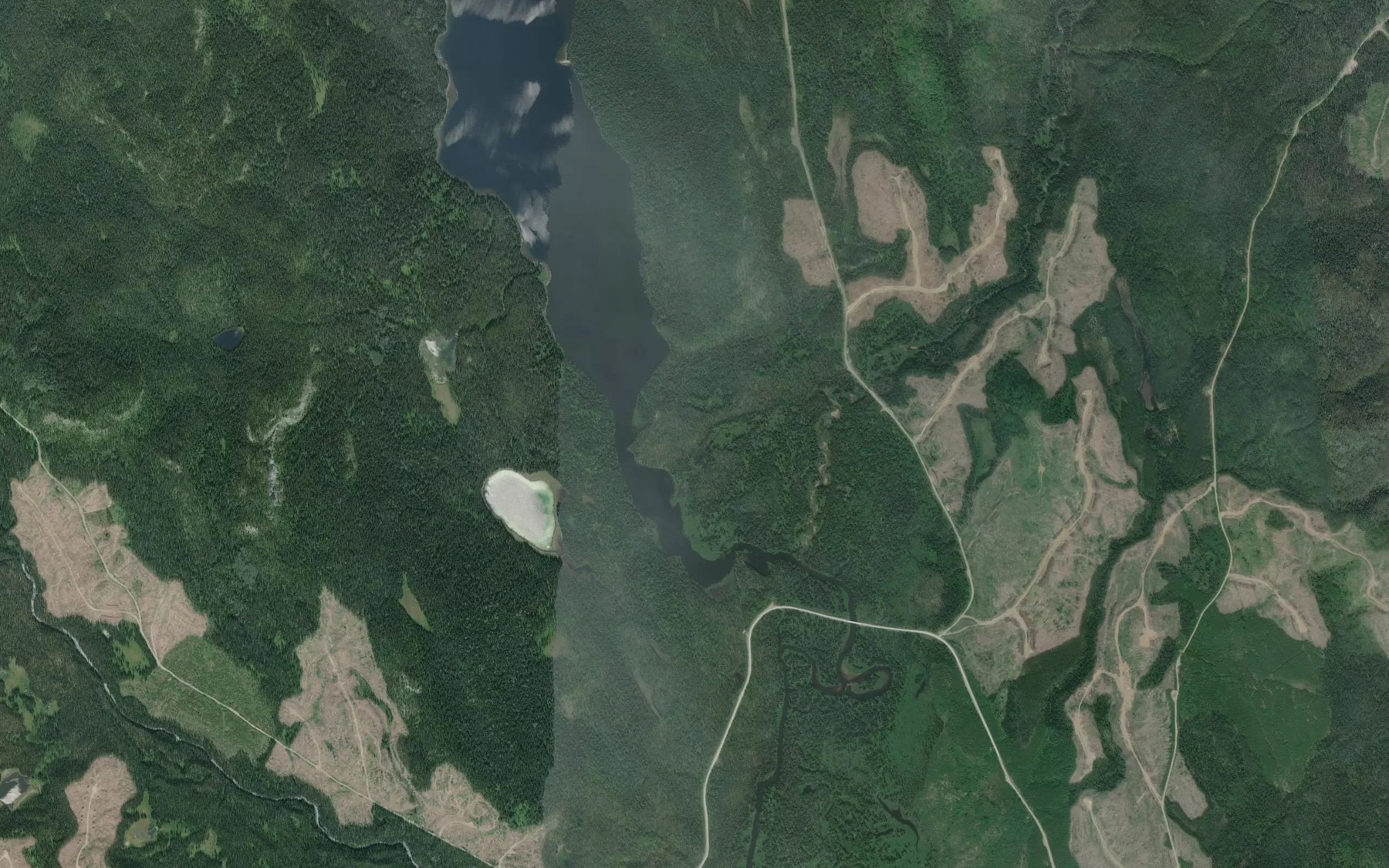 Satellite map of the Rottacker Creek