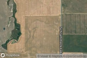 18N02E31A___01 Spring