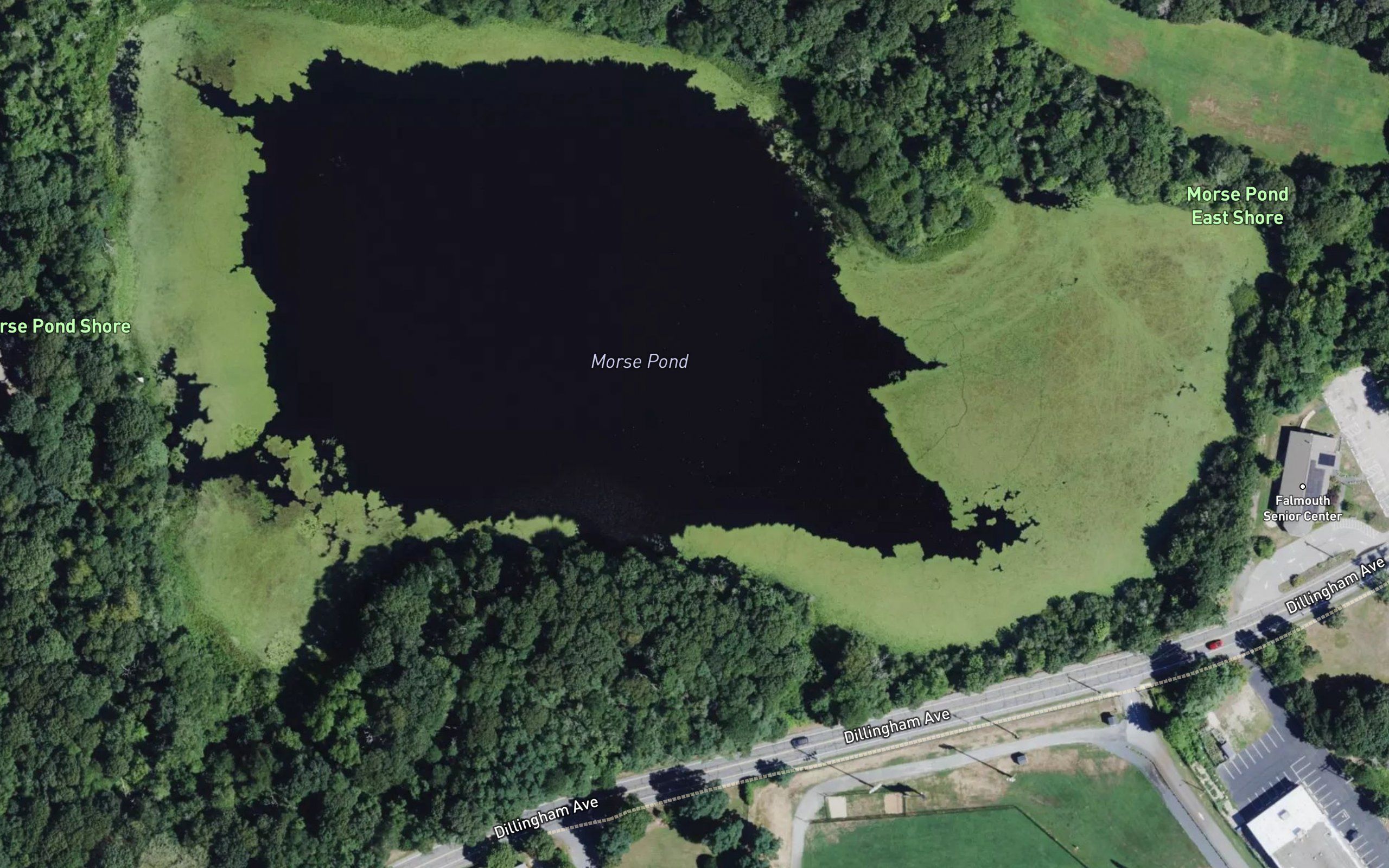 Morse Pond