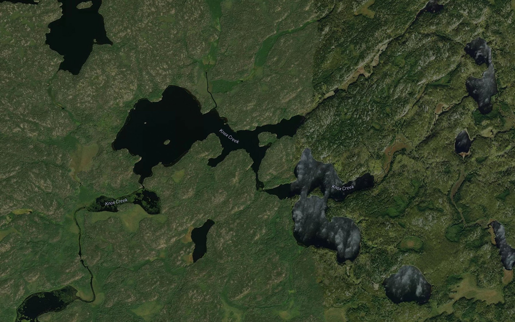 Satellite map of the Young Lake