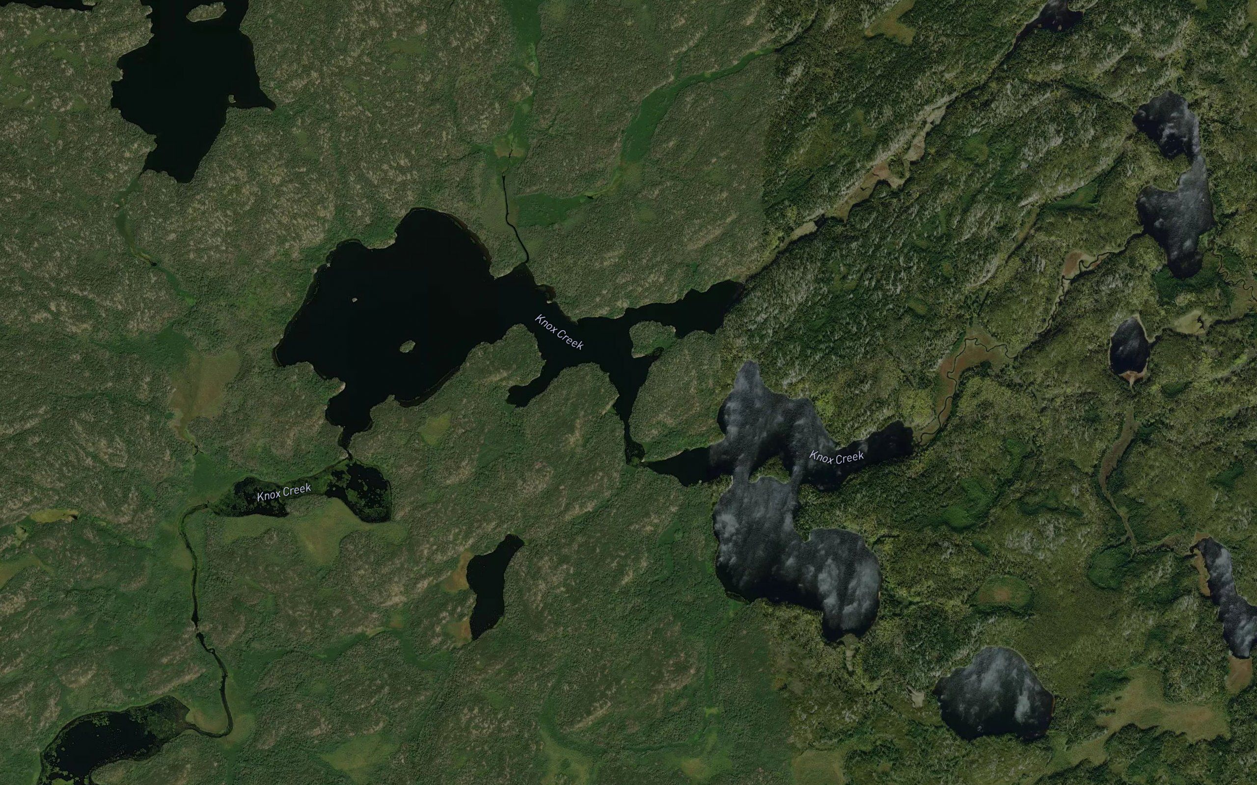 Young Lake