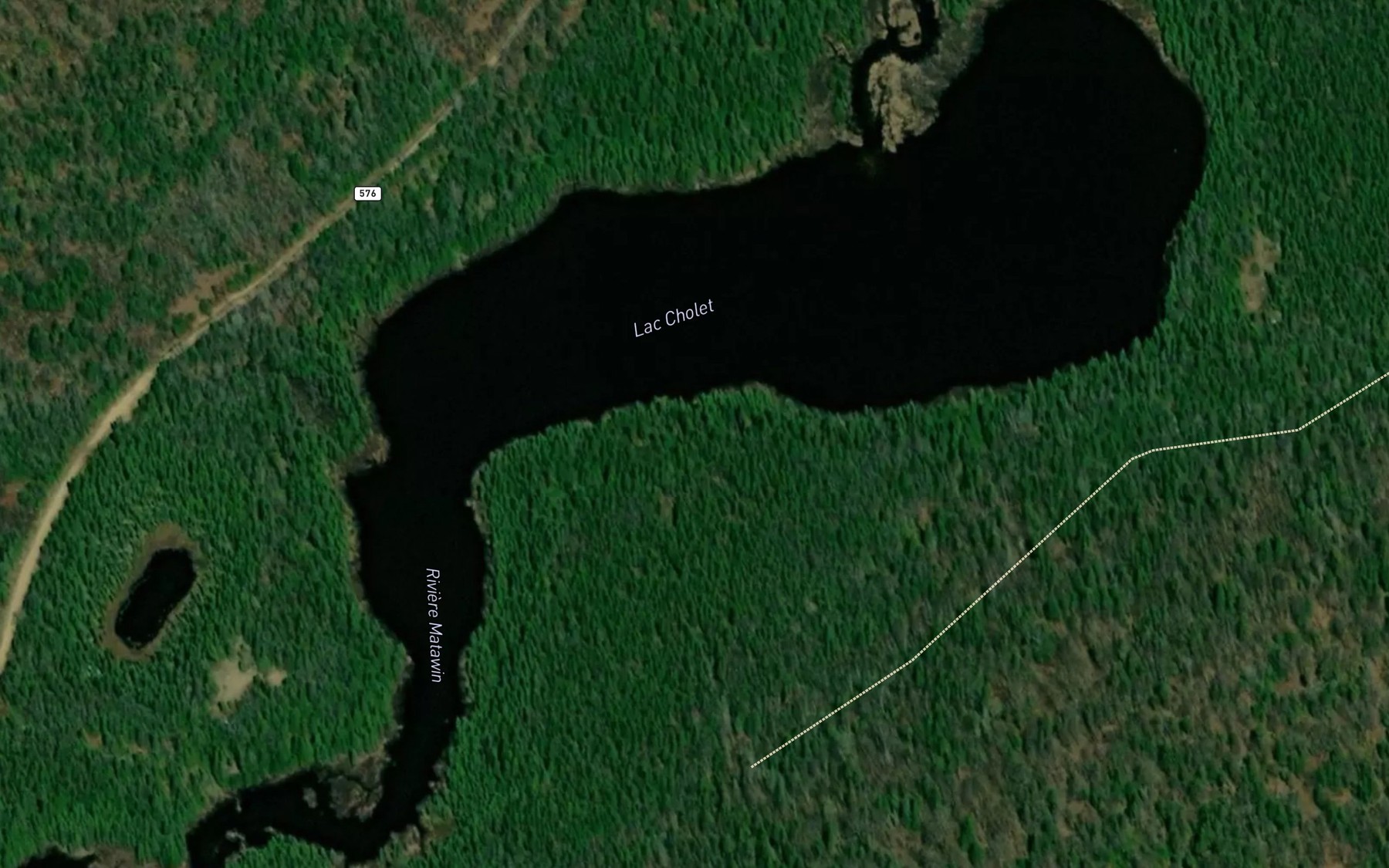 Satellite map of the Lac Cholet