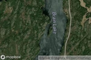 Brain Lake