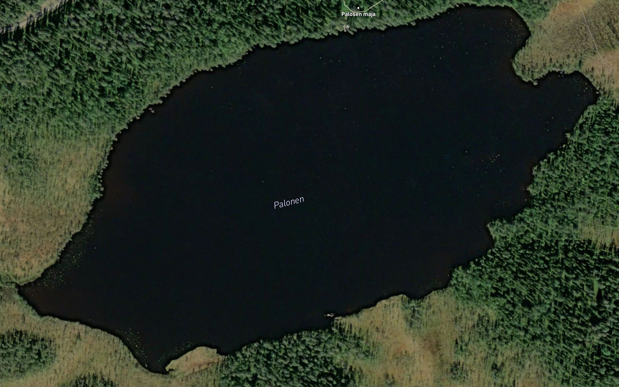 Palonen