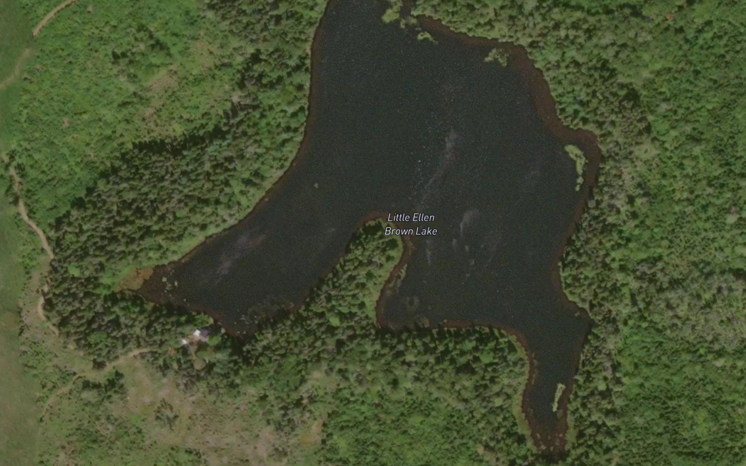 Little Ellen Brown Lake