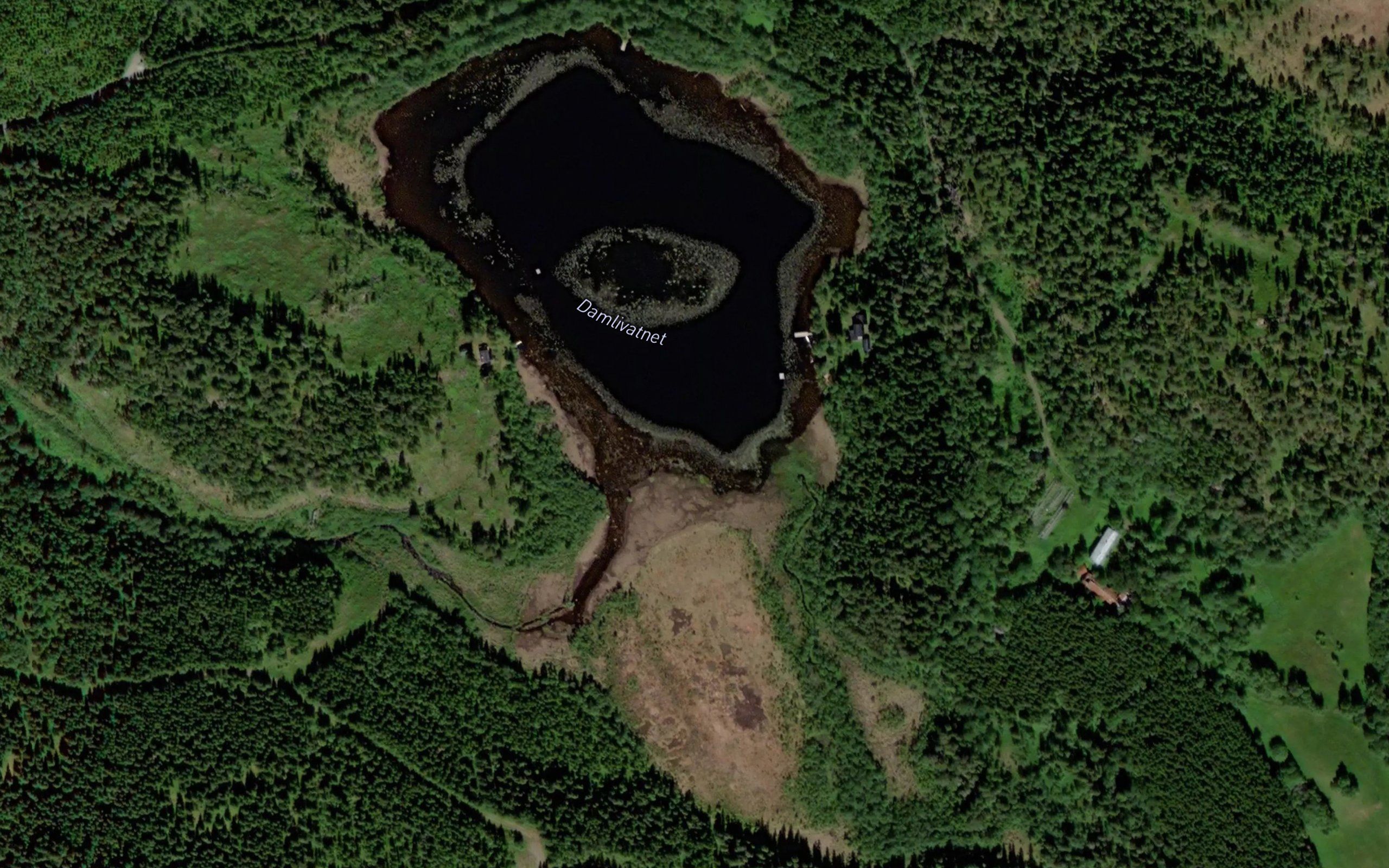 Damlivatnet