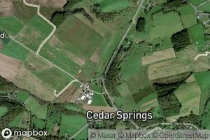 Cedar Spring