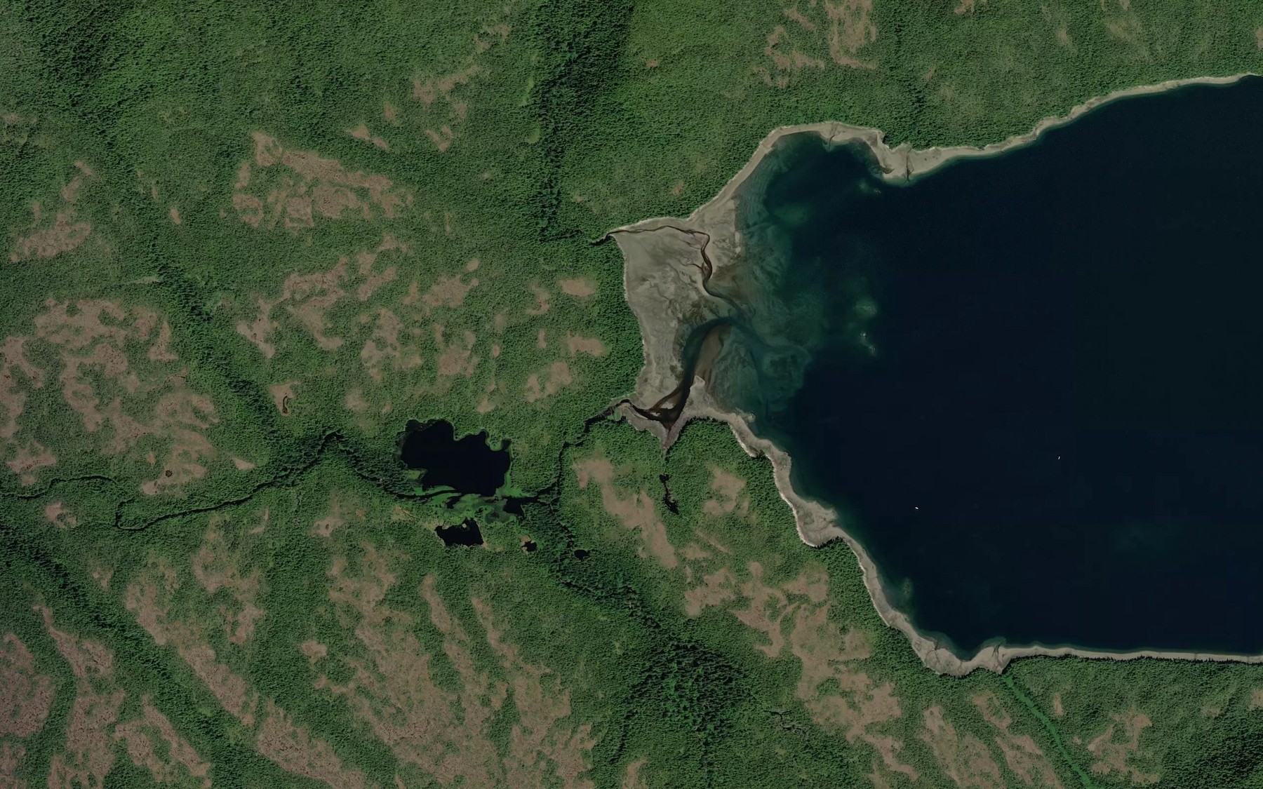 Satellite map of the Wasta Creek