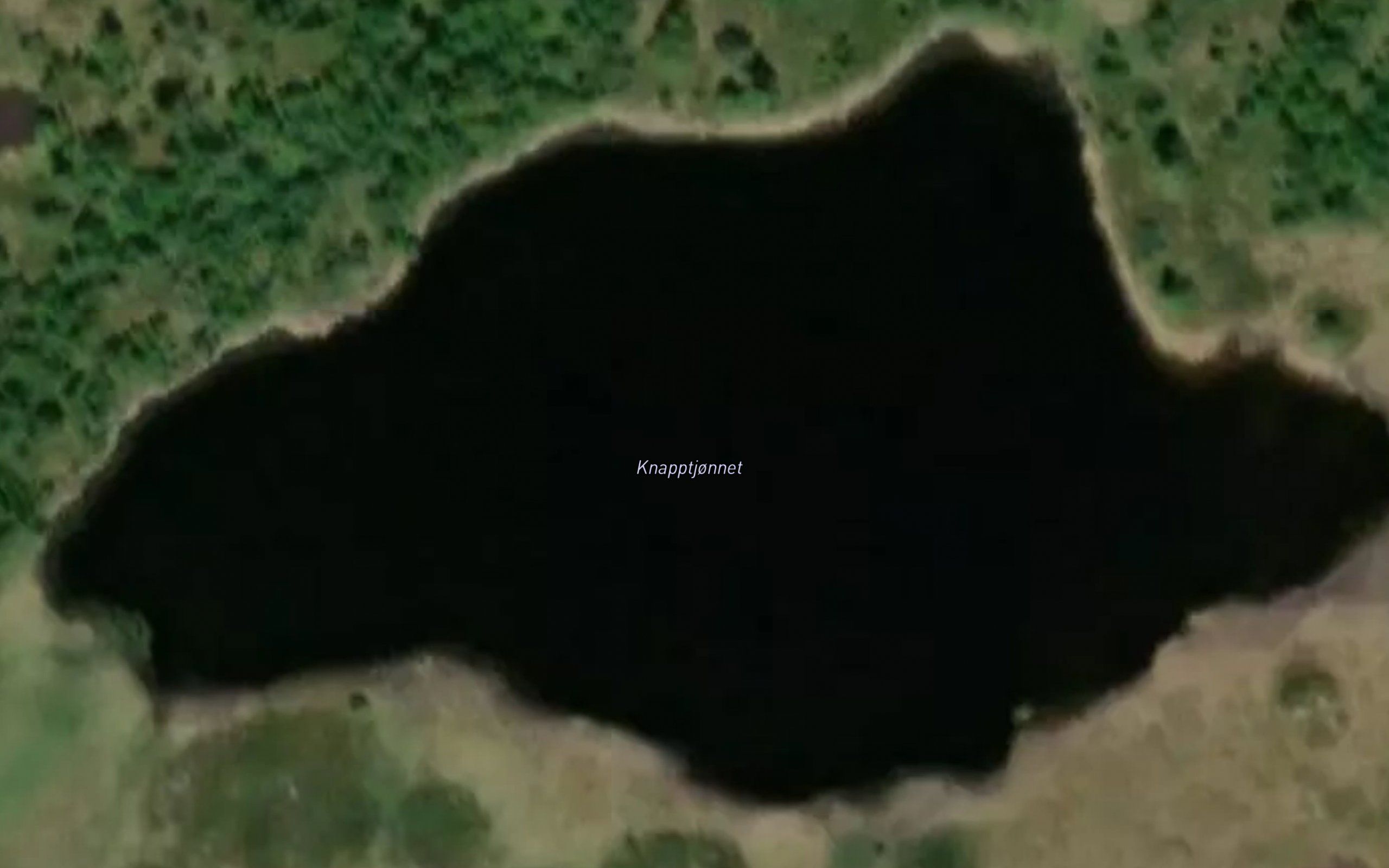 Knapptjornet
