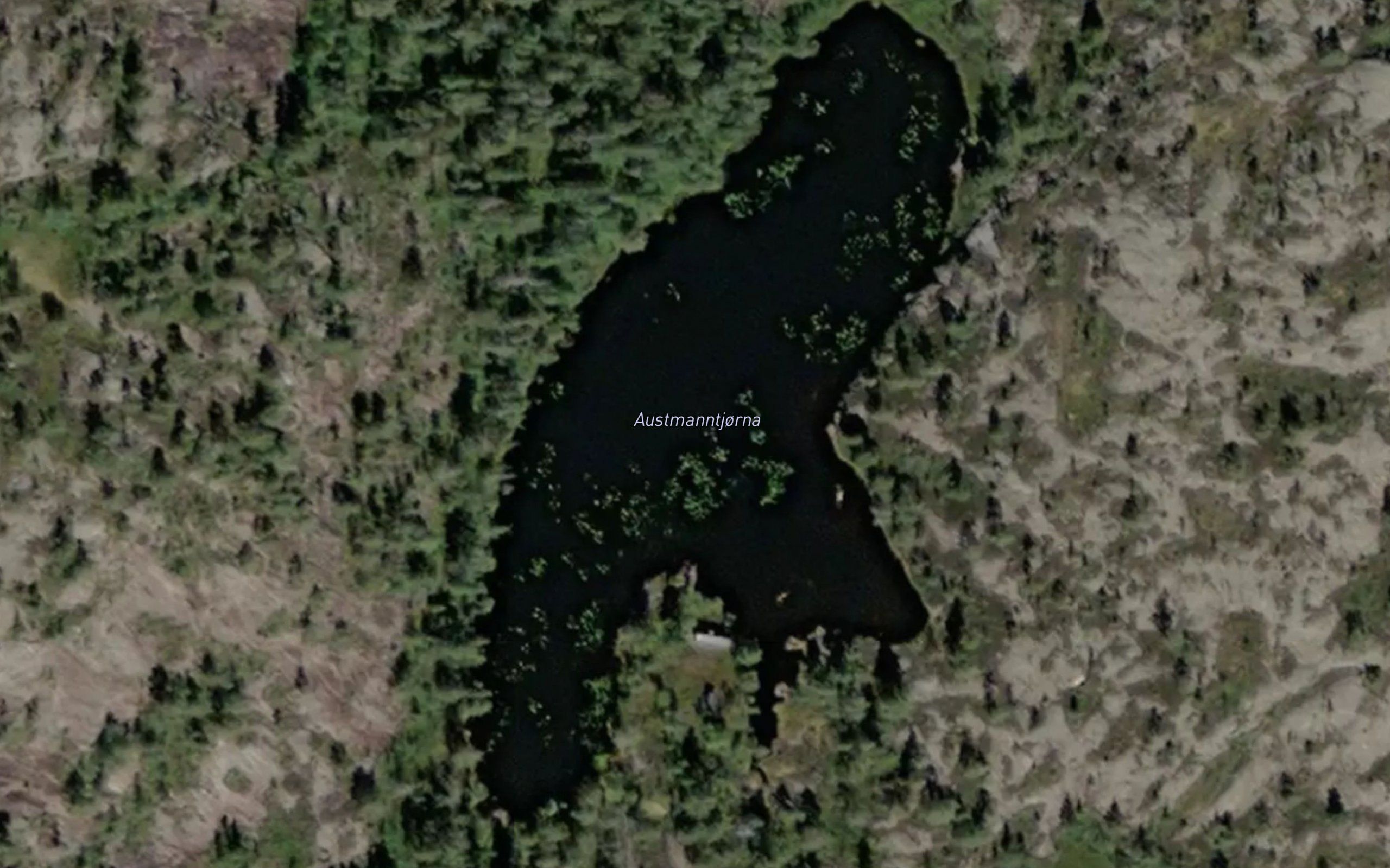 Austmanntjorna