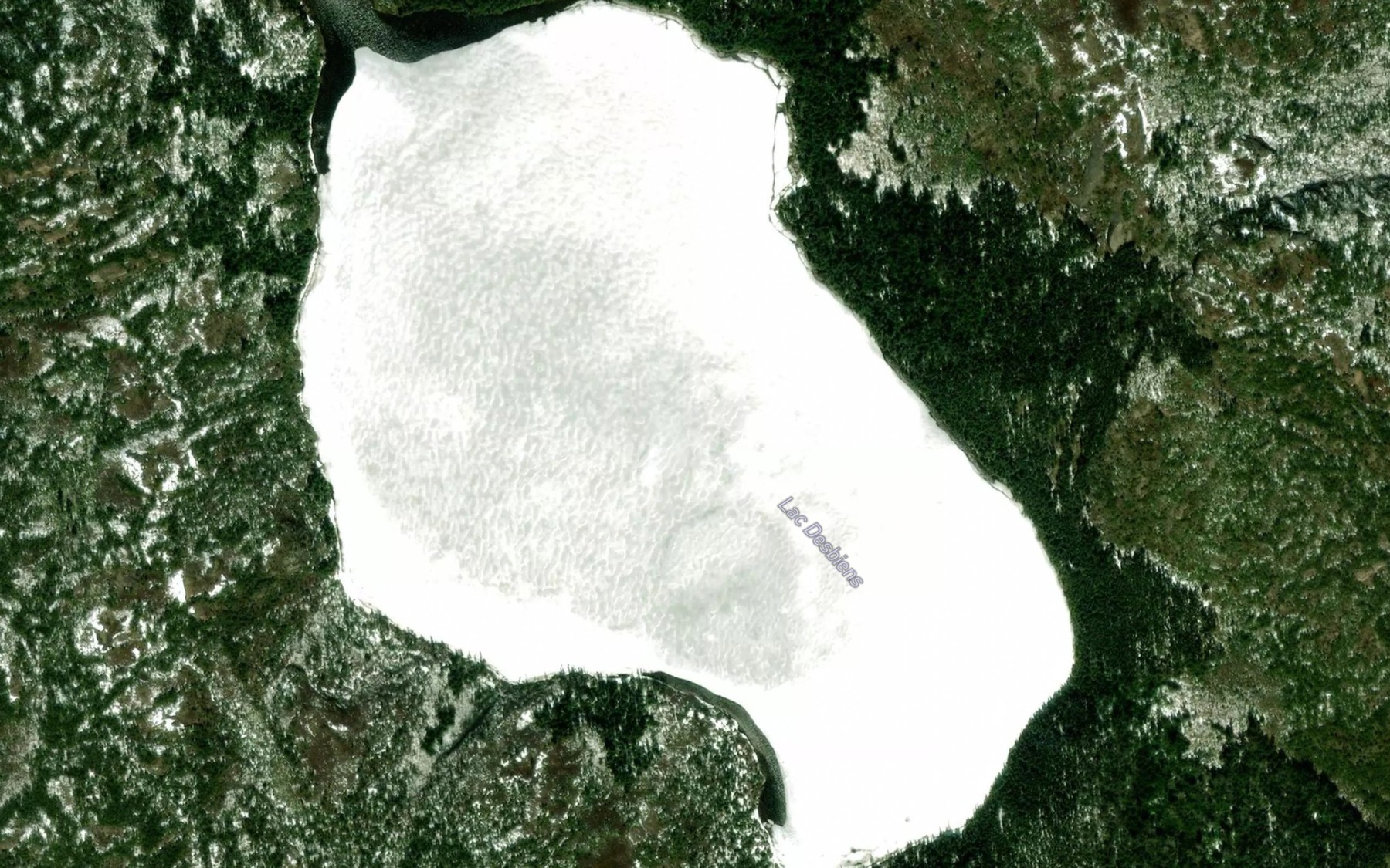 Satellite map of the Lac Desbiens