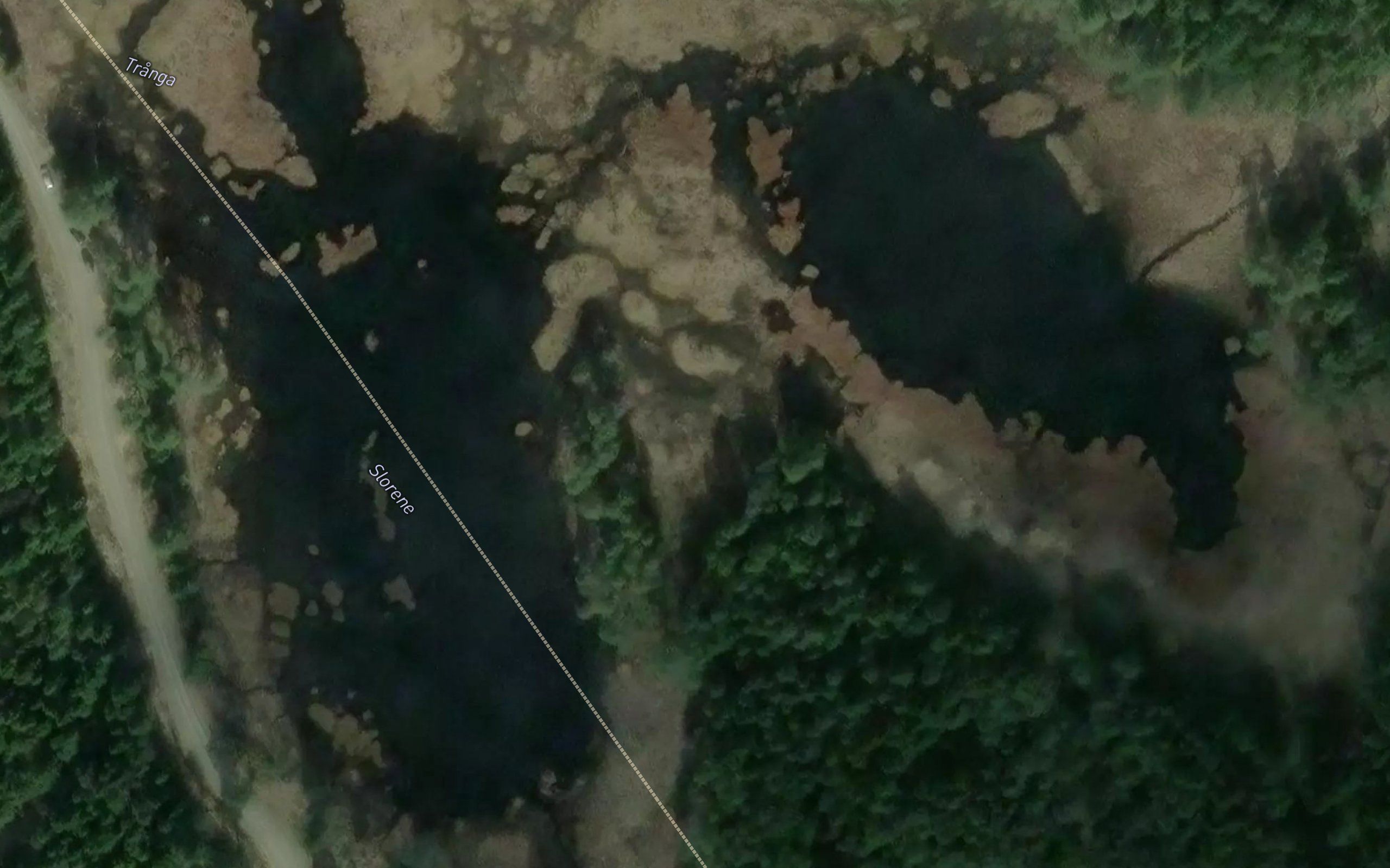 Slorene