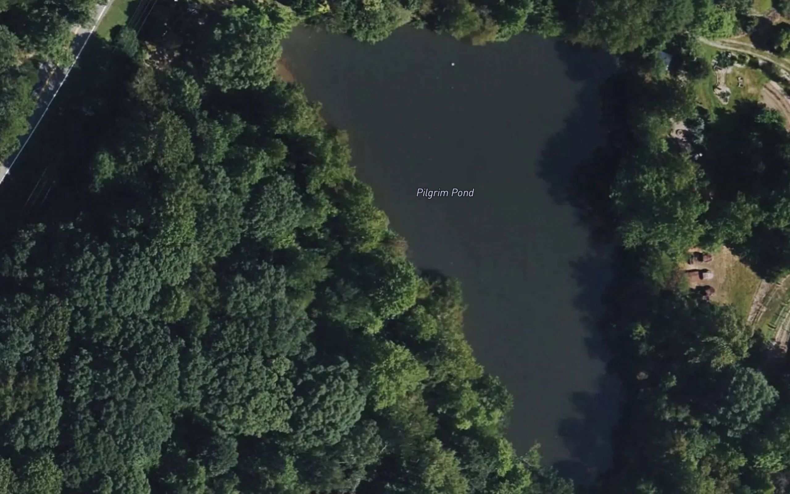 Pilgrim Pond