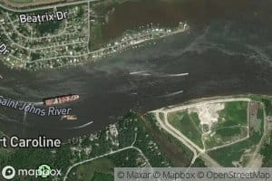 White Shells Cut Range