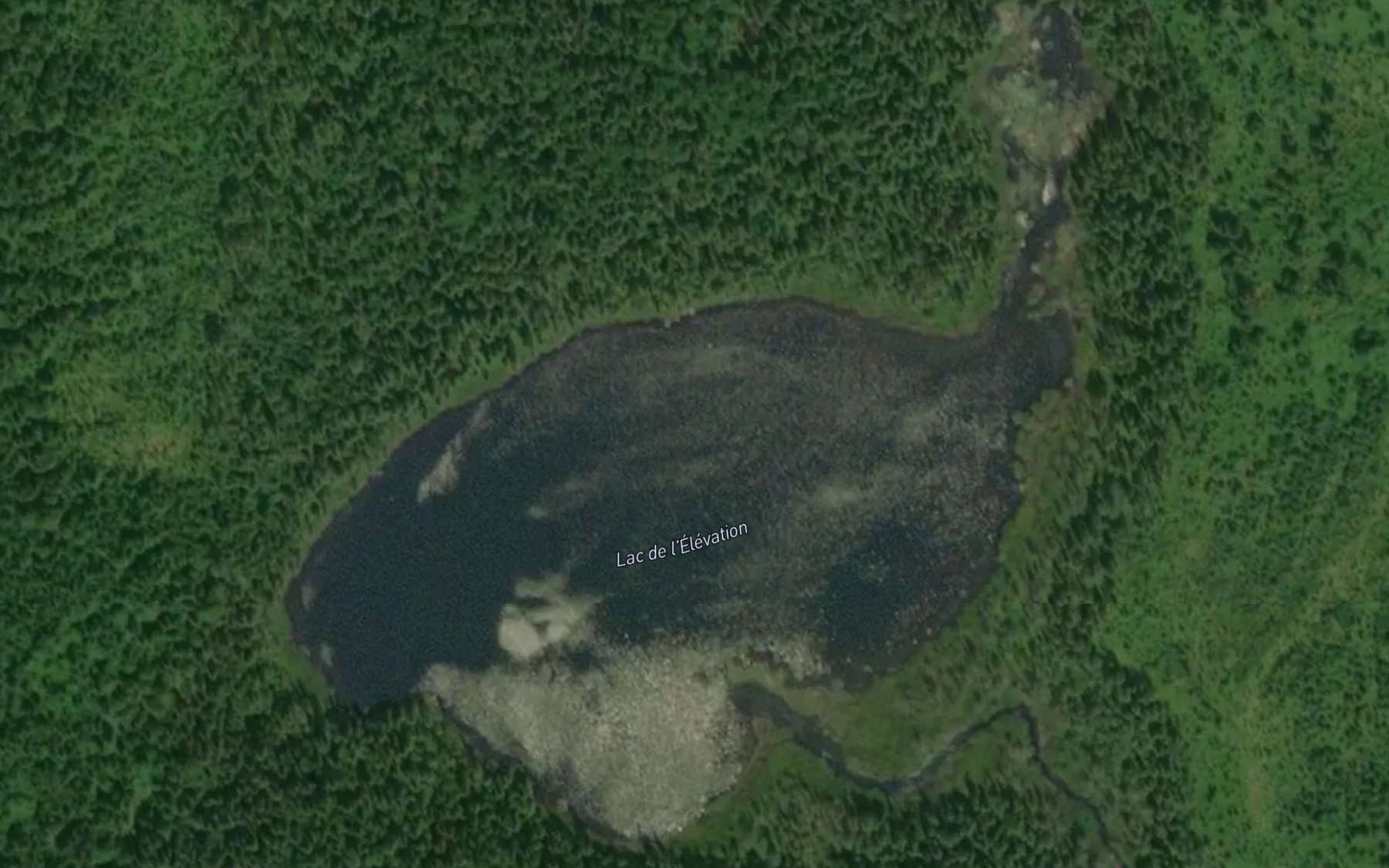 Satellite map of the Lac de l'Elevation