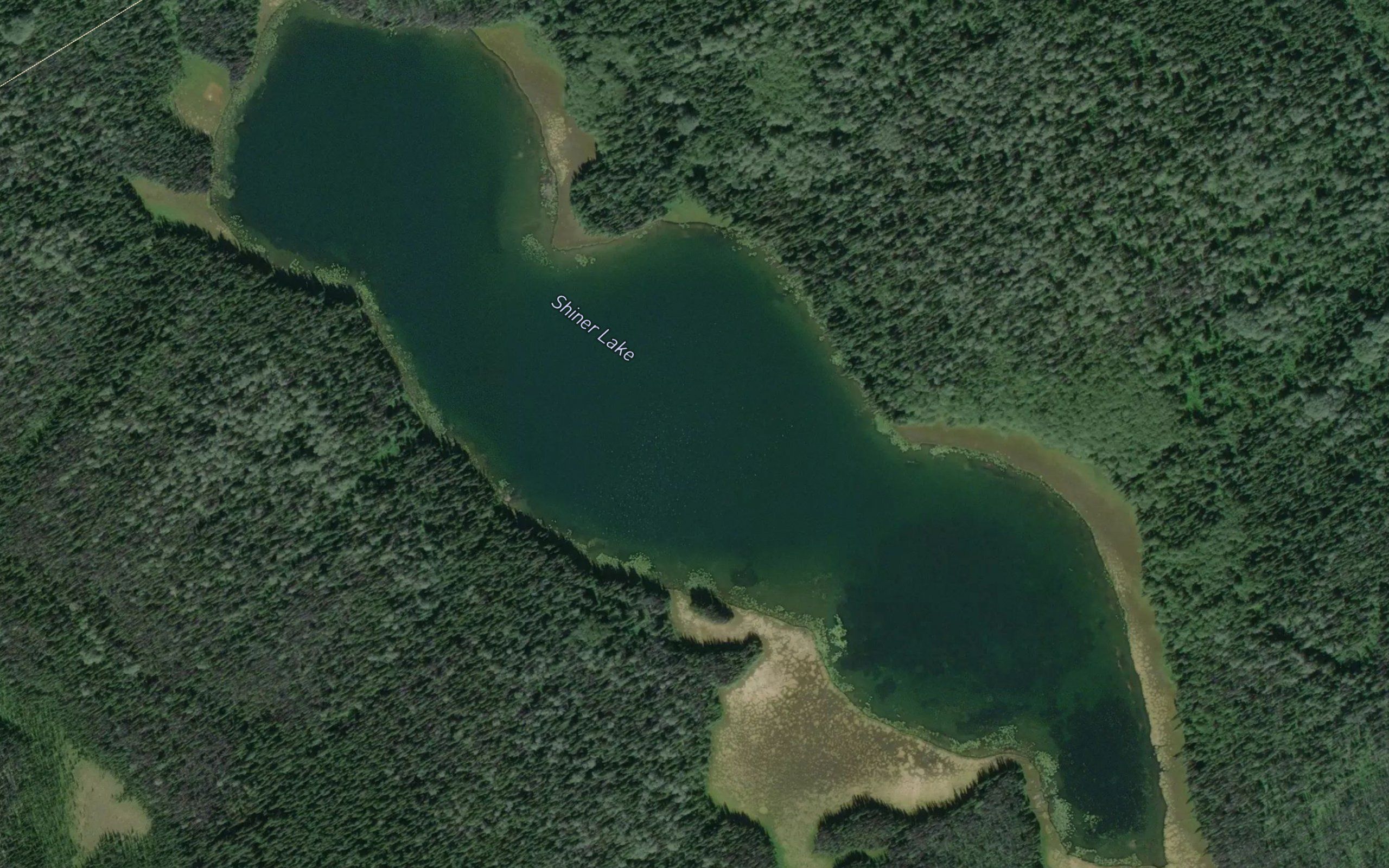 Shiner Lake