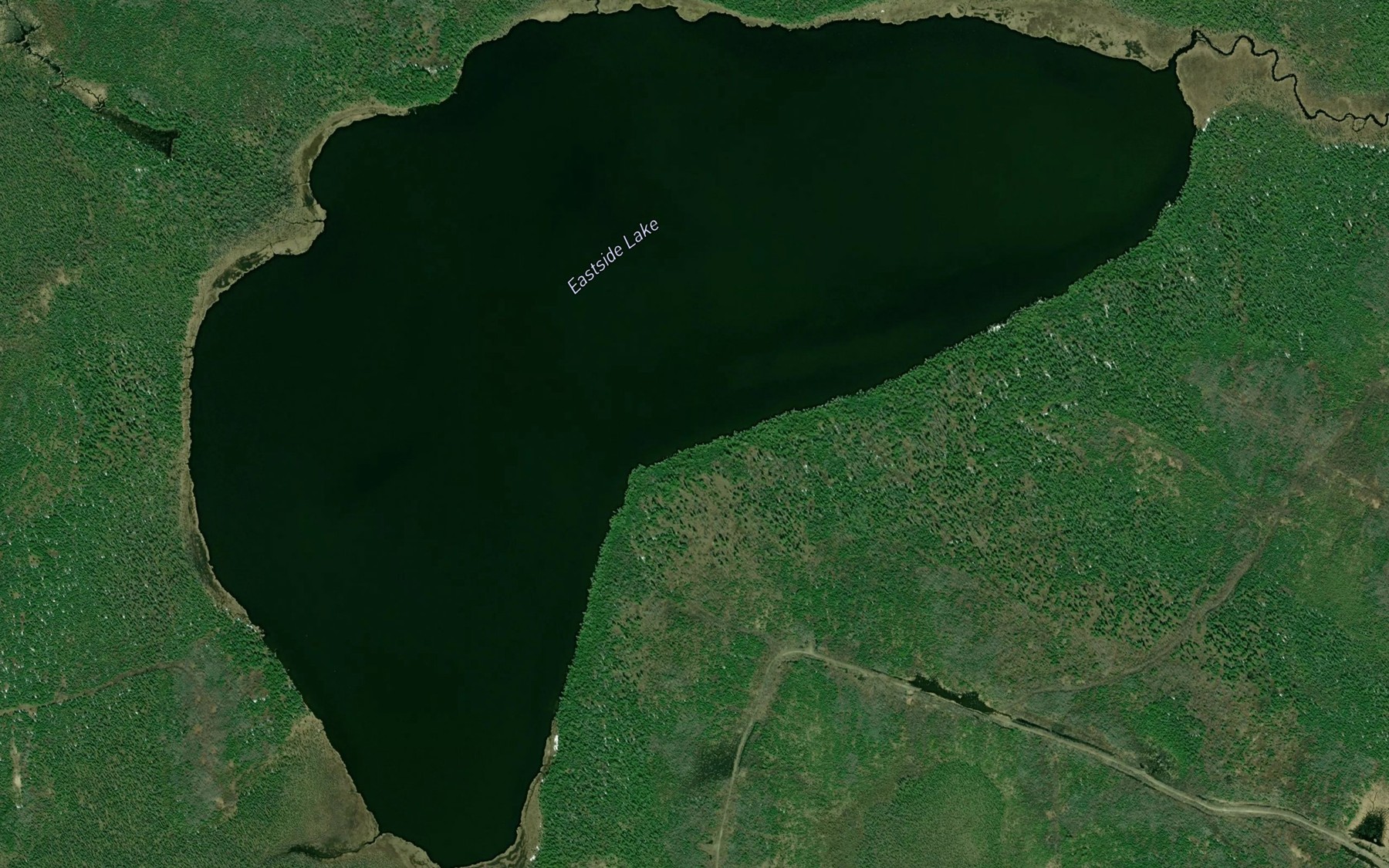 Satellite map of the Eastside Lake