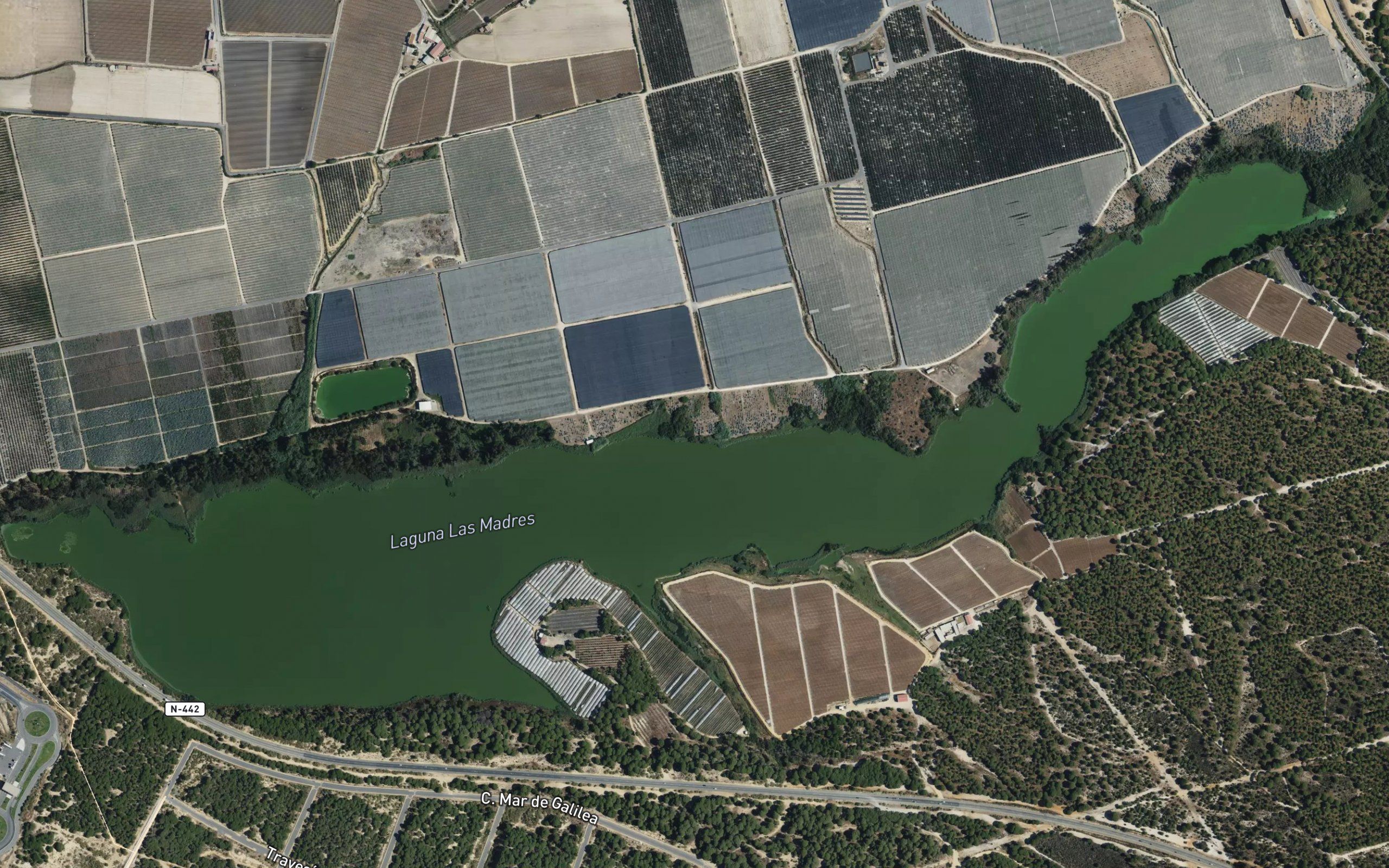 Laguna de las Madres